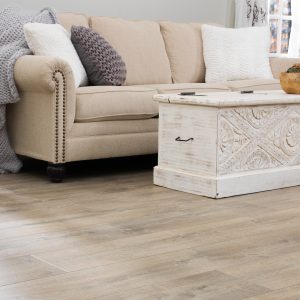 Sofa on Laminate floor | West River Carpets