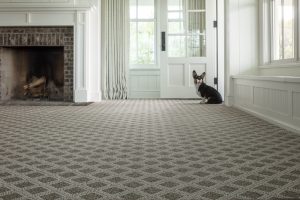 Dog sitting near door | West River Carpets
