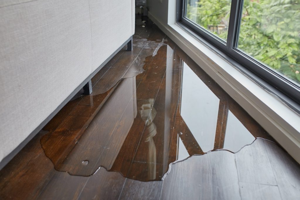 How to Deal with Flood Damage | West River Carpets